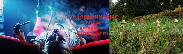 мескалин Горняк