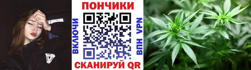 Купить закладки  Кириллов  Шишки марихуана план 